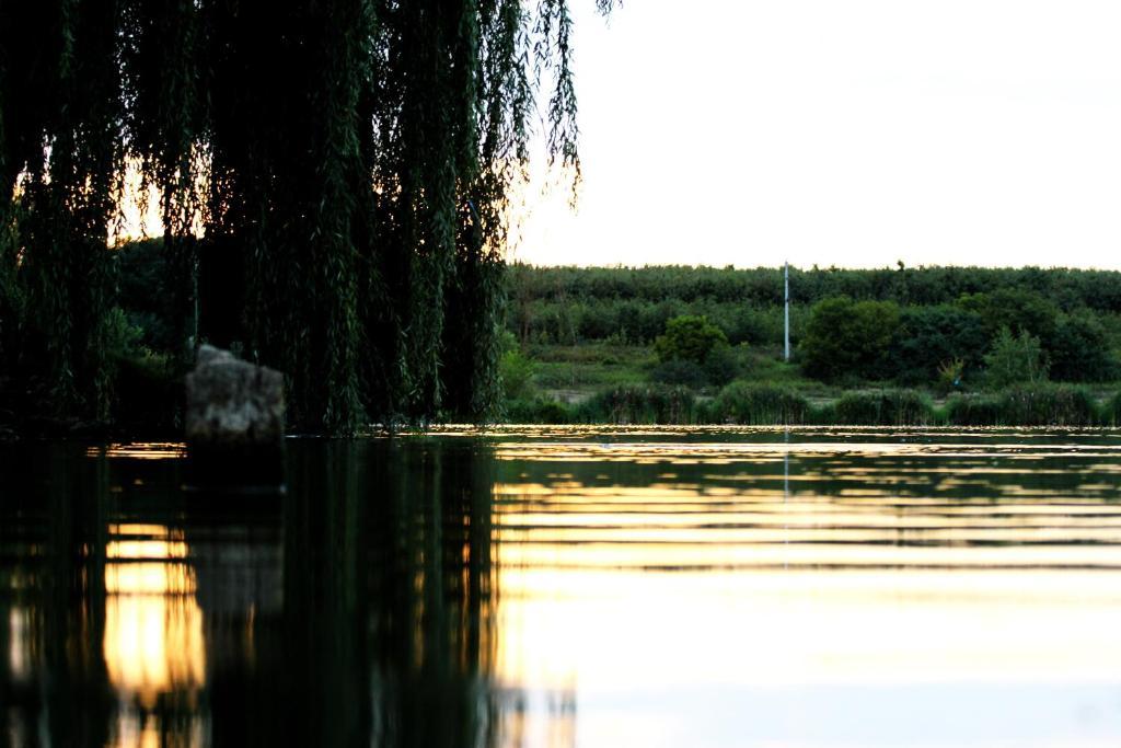Korona Szallo Otel Kanije Dış mekan fotoğraf